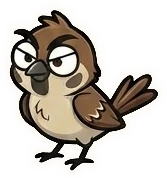 Pip, a small scowling sparrow